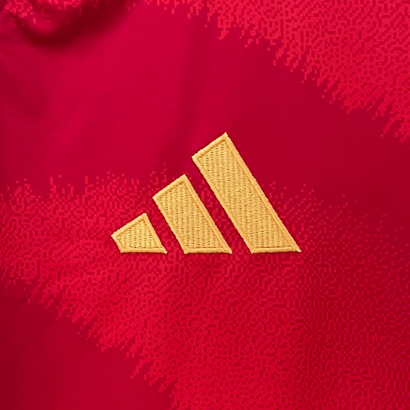 CAMISOLA NIKE INTER MILAN PRIMEIRO EQUIPAMENTO AUTHENTIC 2024-2025 (cópia)