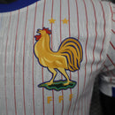 CAMISOLA Nike Equipamento França 2024 Stadiu - branco