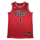 Jersey NBA Chicago Bulls Icon Edition