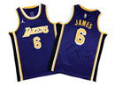Jersey NBA Los Angeles Lakers LeBron James 2023 Purple